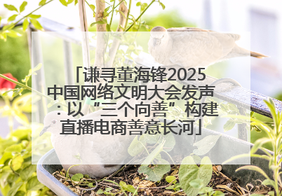 谦寻董海锋2025中国网络文明大会发声：以“三个向善”构建直播电商善意长河